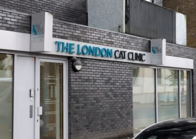 The London Cat Clinic